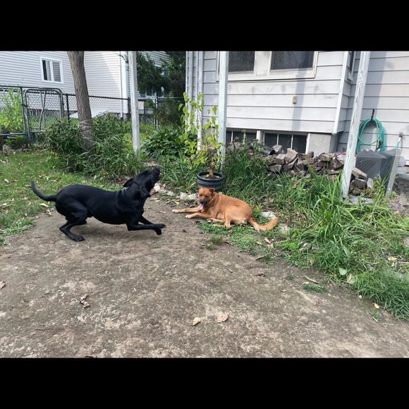 🤸‍♀️📬📮SHIP NEXT BUSINESS DAY!📮📬🤸‍♀️ - Picture 6 of 10